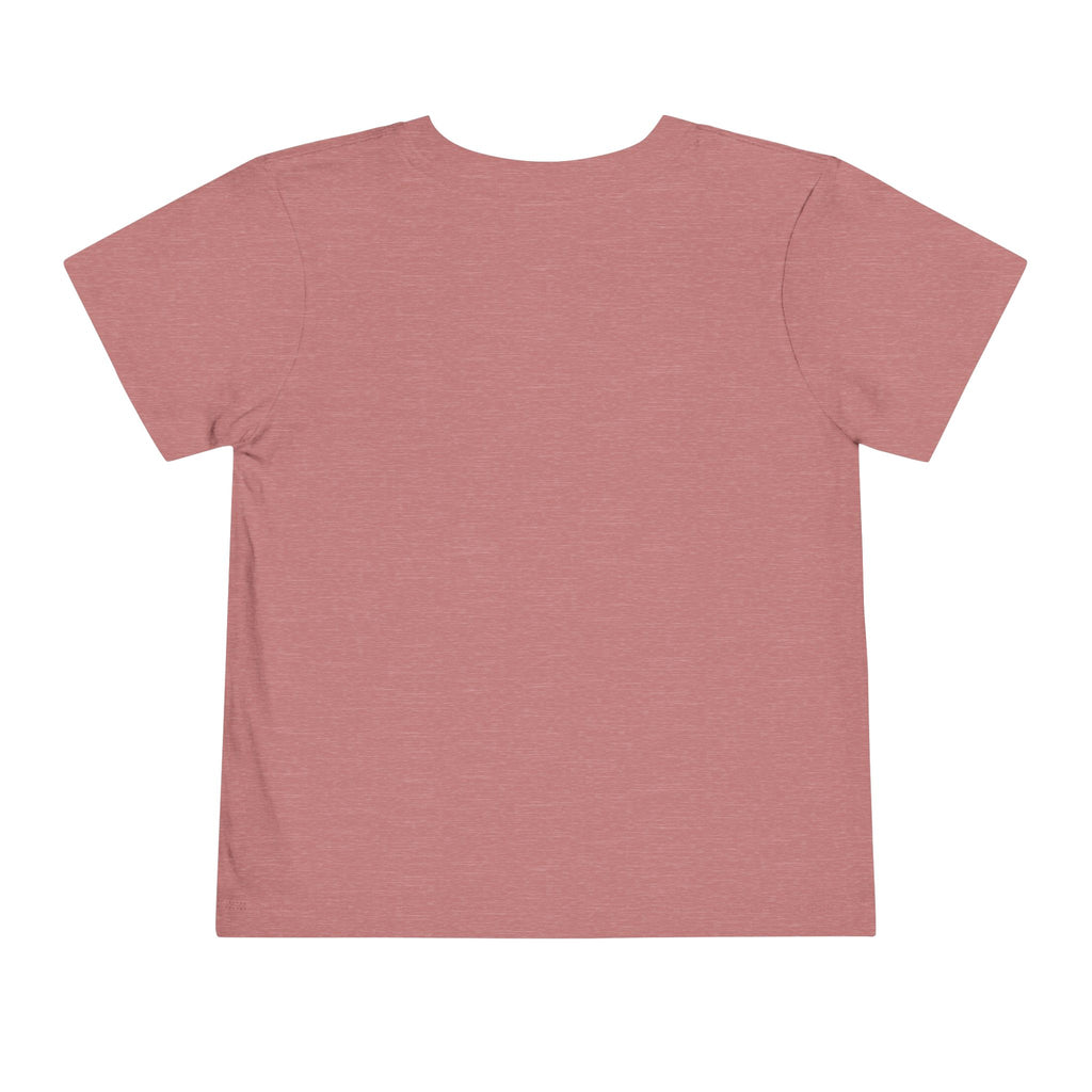 St Louis 314 All Day Toddler Tee - 314 Originals
