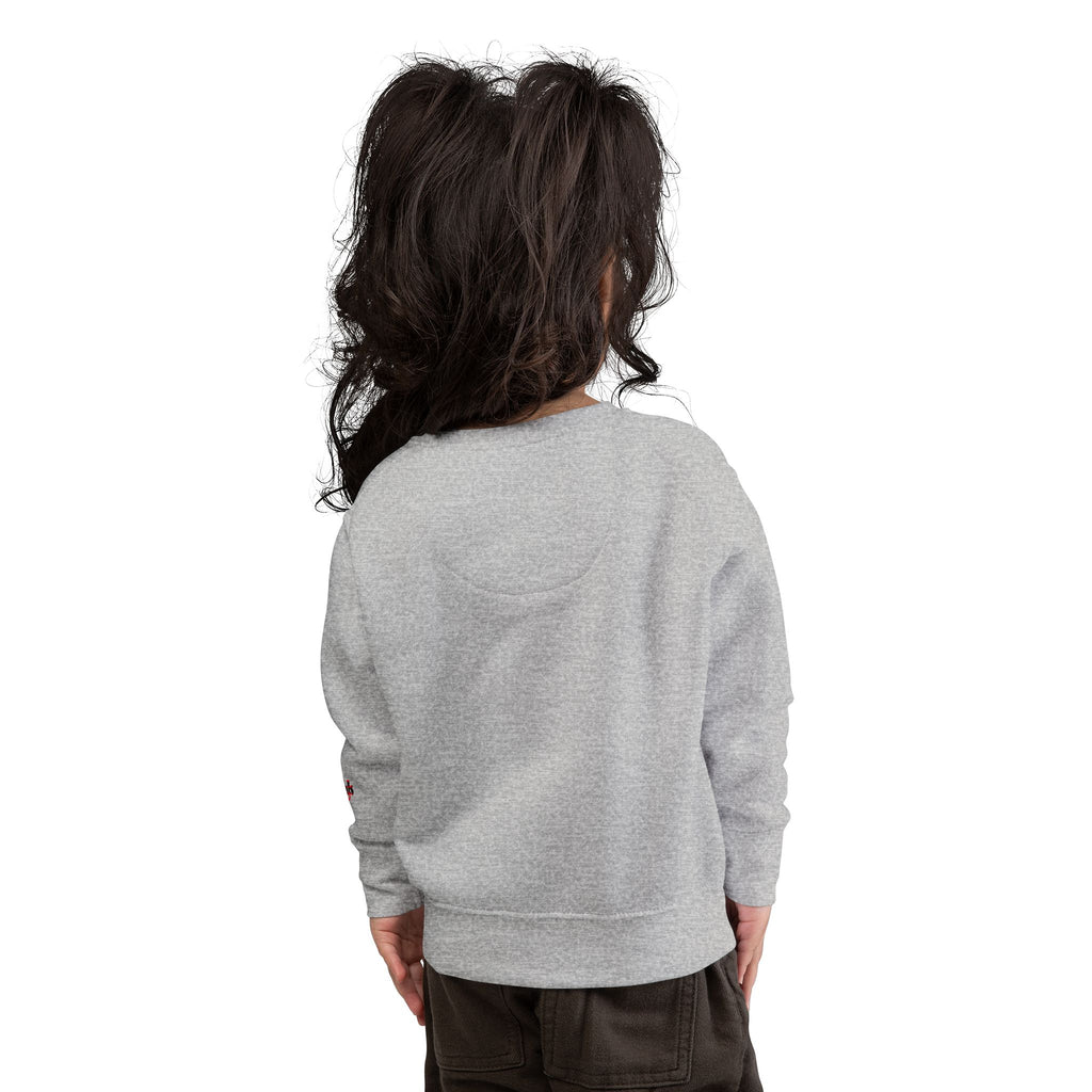Toddler Sweatshirt — Cute Ladybug Graphic Crewneck for Kids - 314 Originals