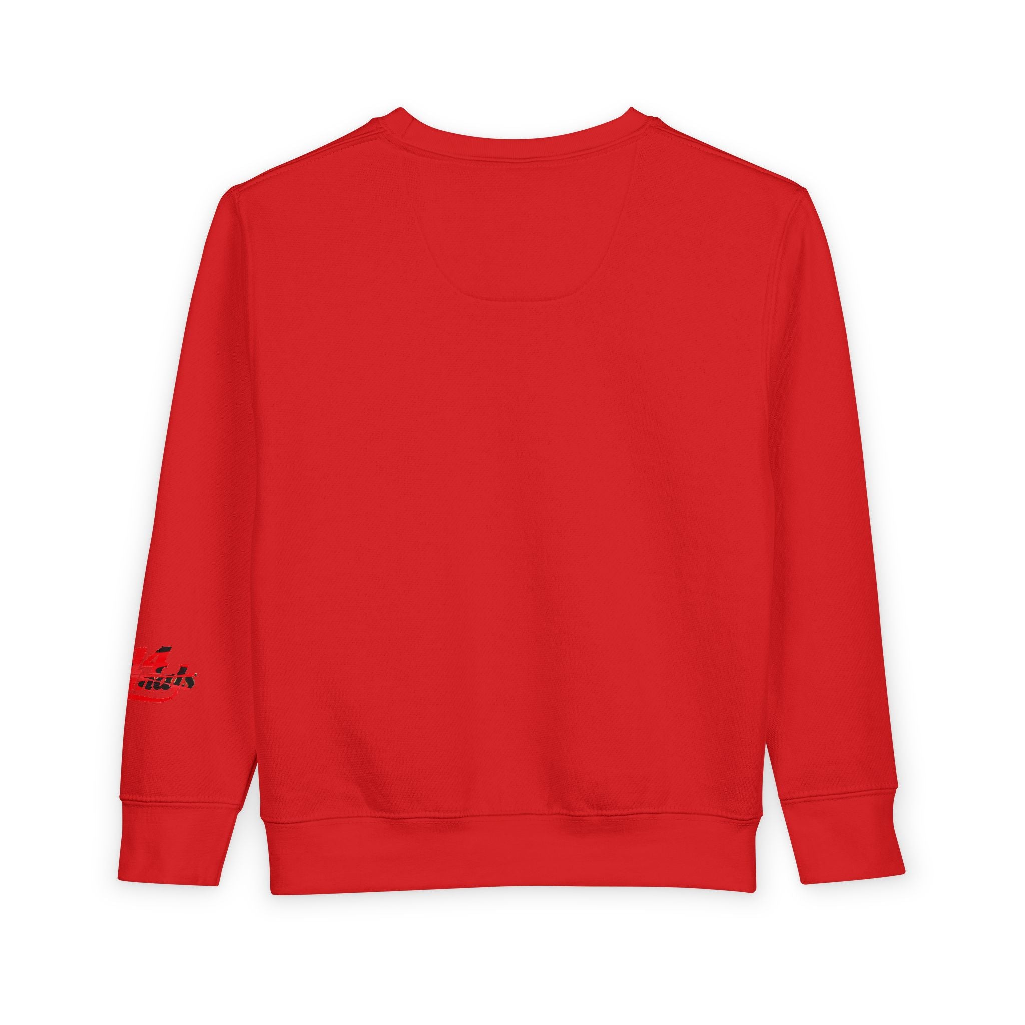 Toddler Sweatshirt — Cute Ladybug Graphic Crewneck for Kids - 314 Originals