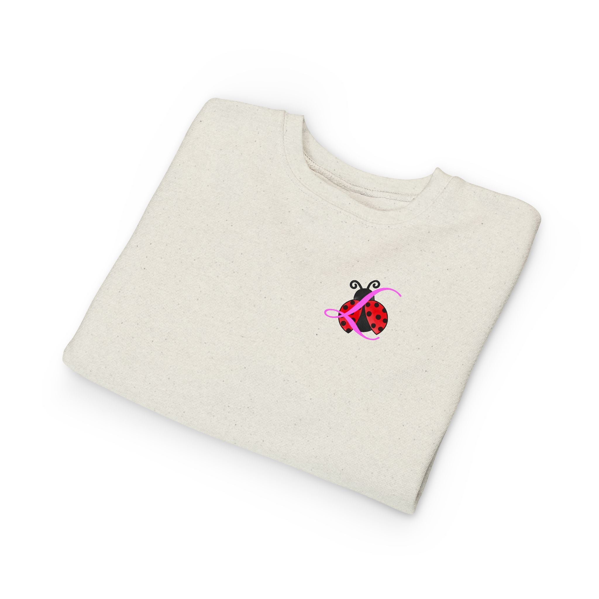Toddler Sweatshirt — Cute Ladybug Graphic Crewneck for Kids