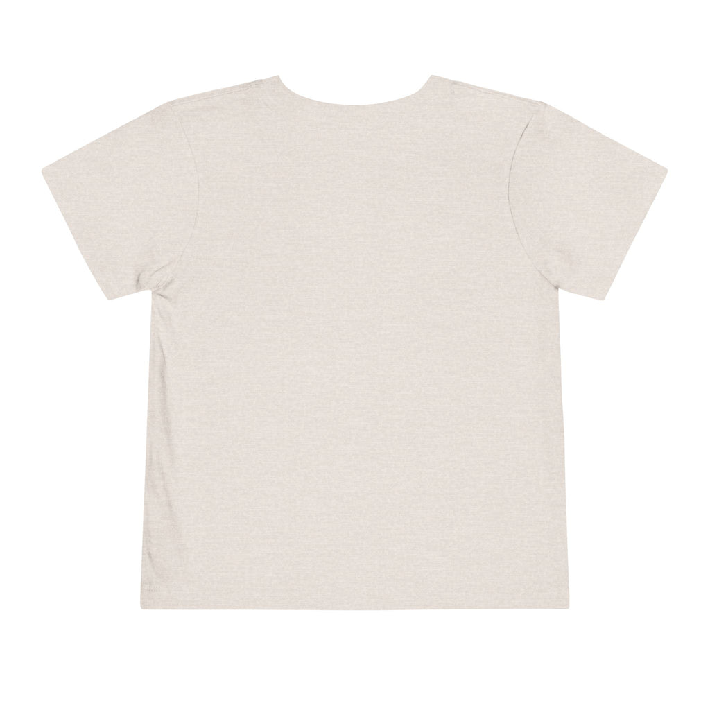 St Louis 314 All Day Toddler Tee - 314 Originals