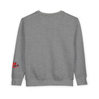 Toddler Sweatshirt — Cute Ladybug Graphic Crewneck for Kids - 314 Originals