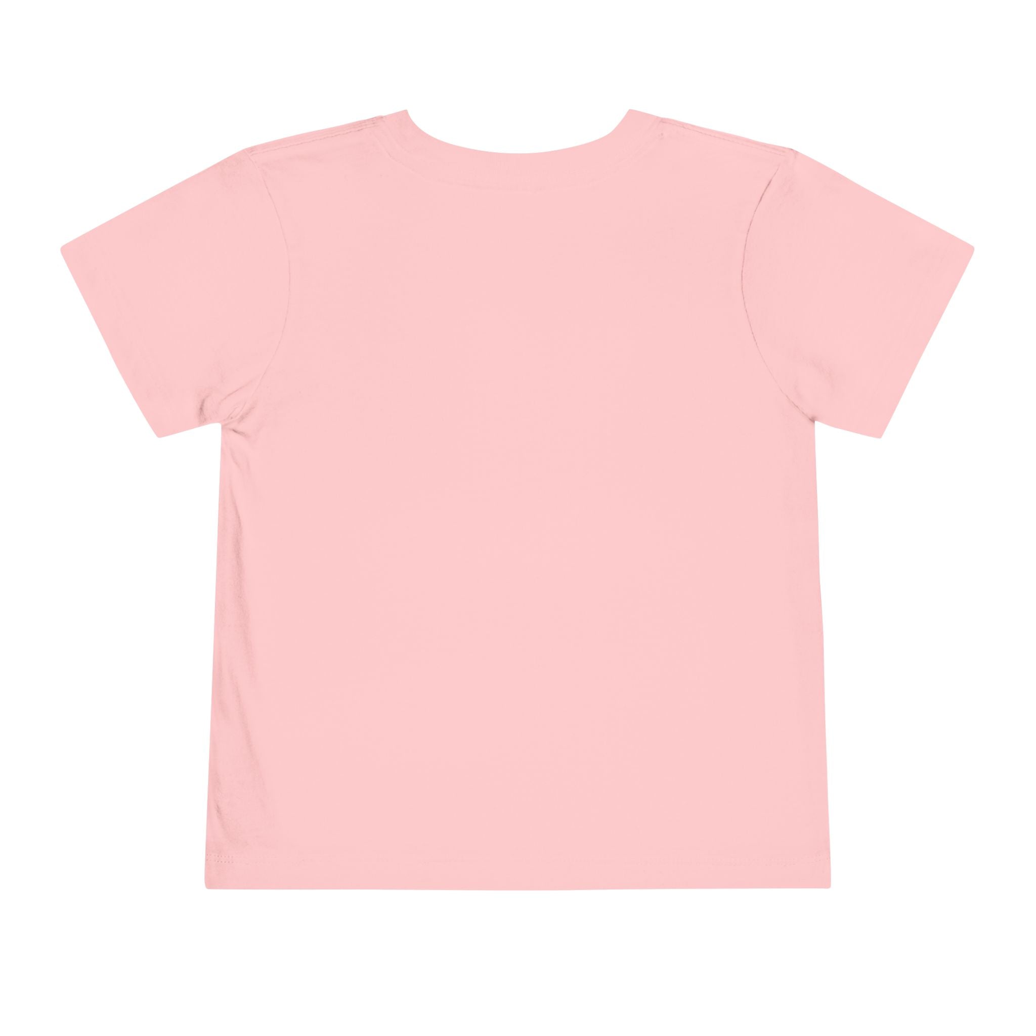 St Louis 314 All Day Toddler Tee - 314 Originals