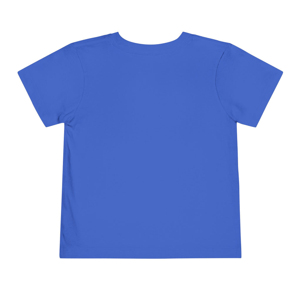 St Louis 314 All Day Toddler Tee - 314 Originals