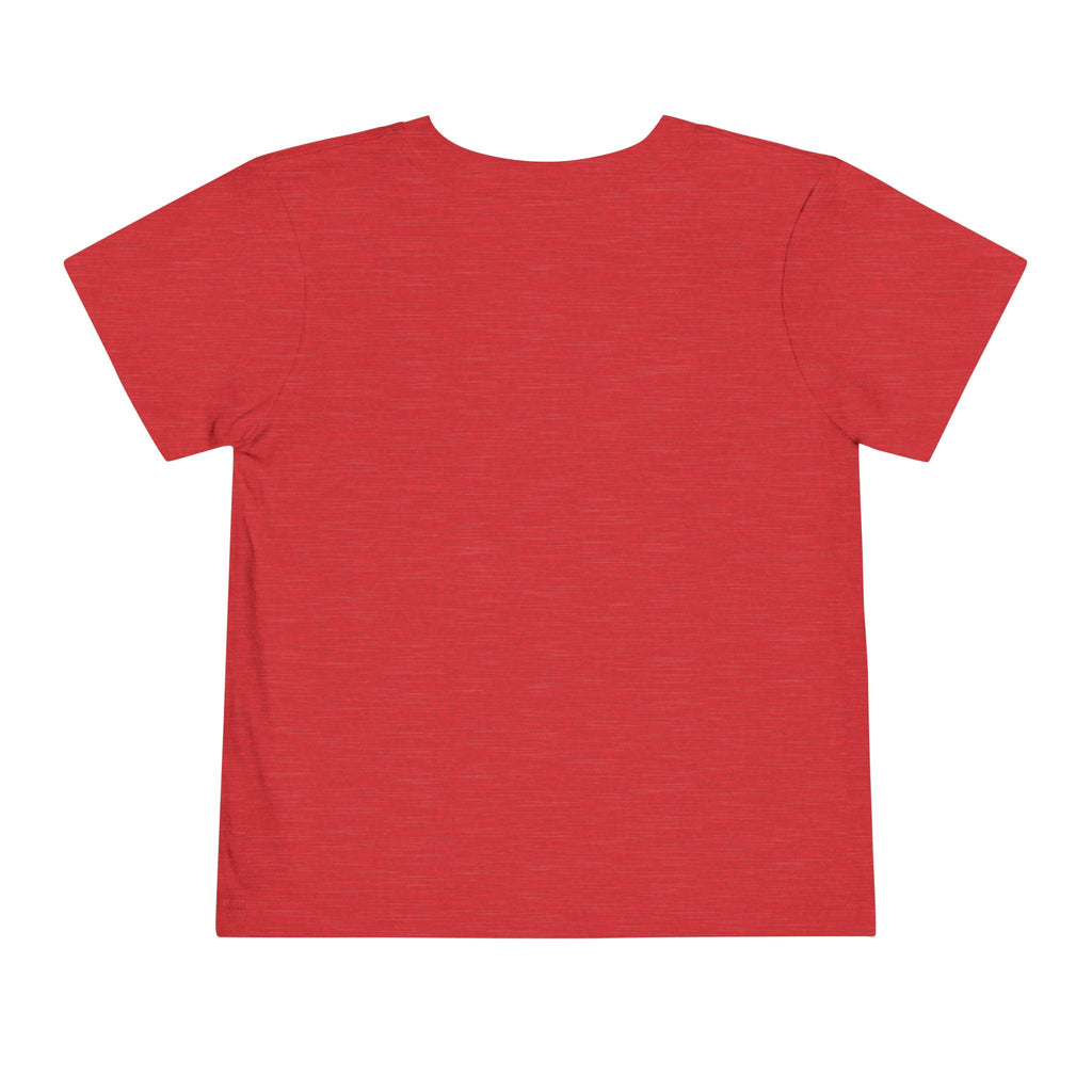 St Louis 314 All Day Toddler Tee - 314 Originals