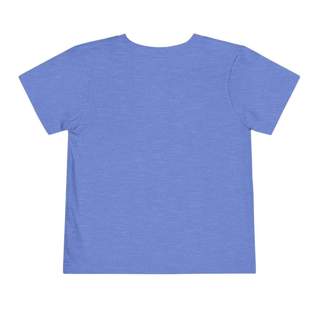 St Louis 314 All Day Toddler Tee - 314 Originals