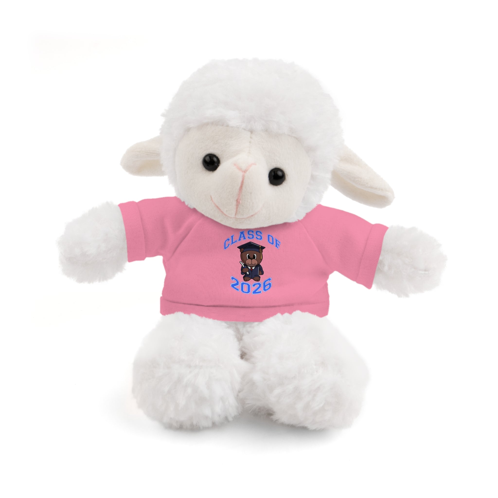 Class of 2026 Graduation Plush with Tee