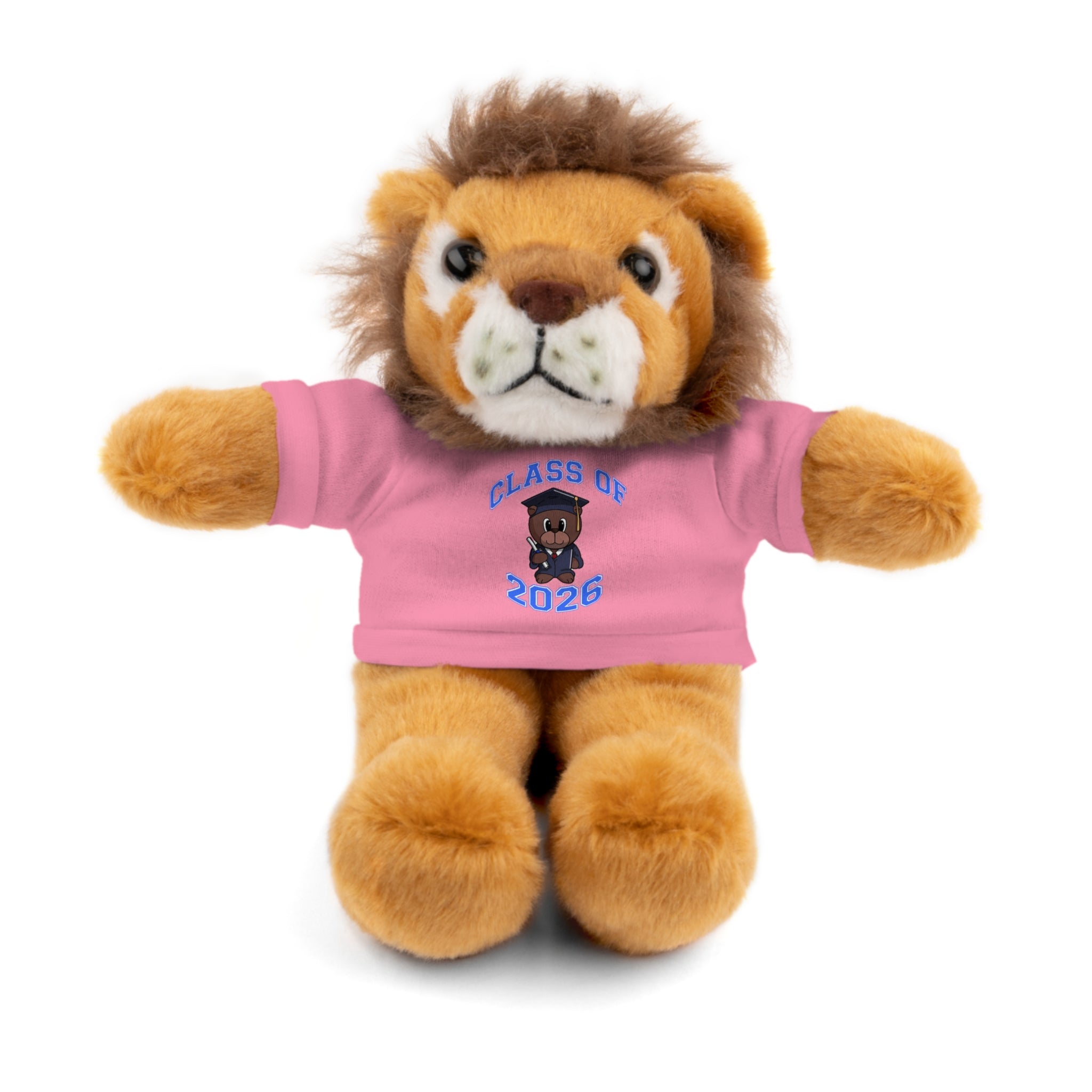 Class of 2026 Graduation Plush with Tee