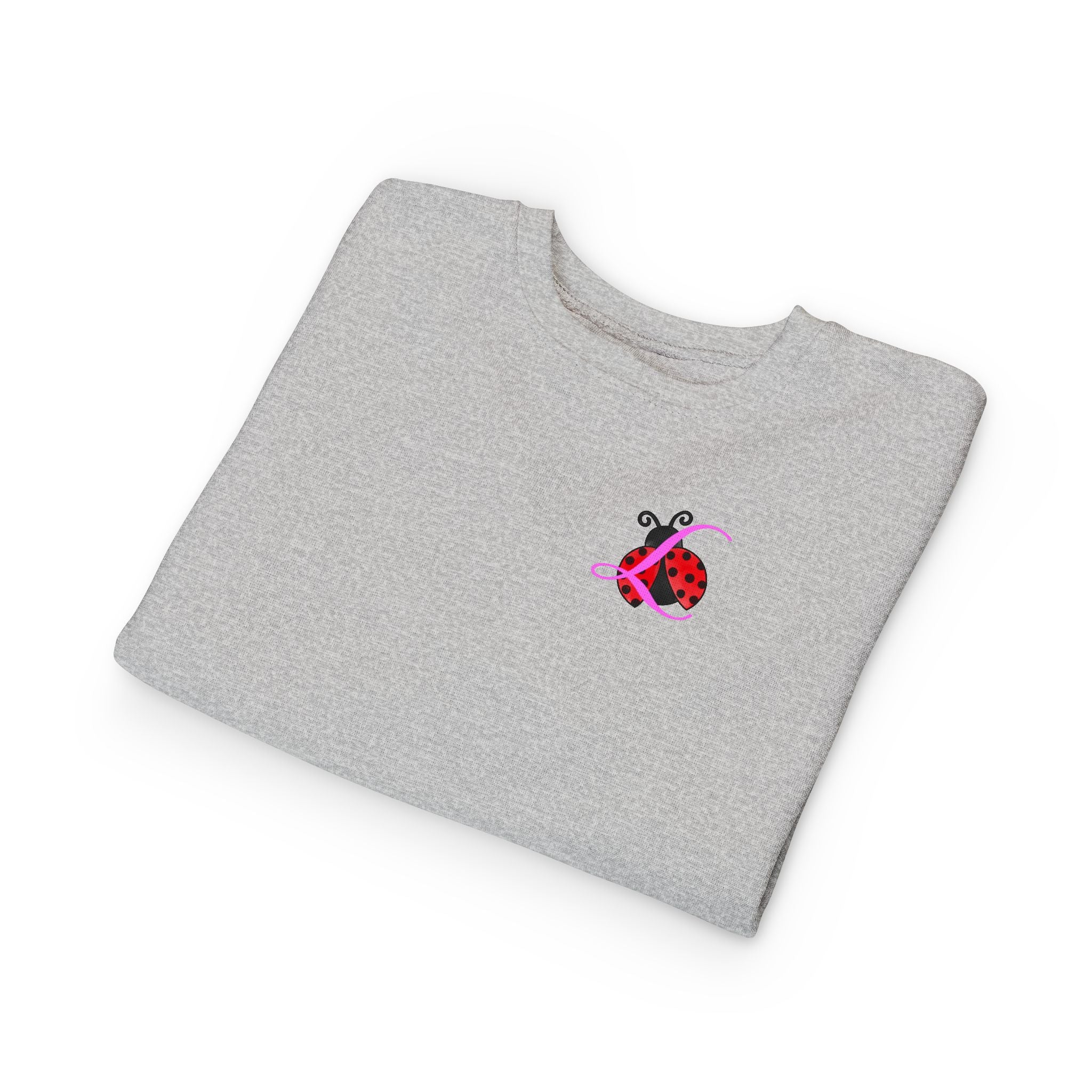 Toddler Sweatshirt — Cute Ladybug Graphic Crewneck for Kids - 314 Originals