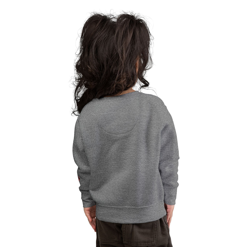 Toddler Sweatshirt — Cute Ladybug Graphic Crewneck for Kids - 314 Originals