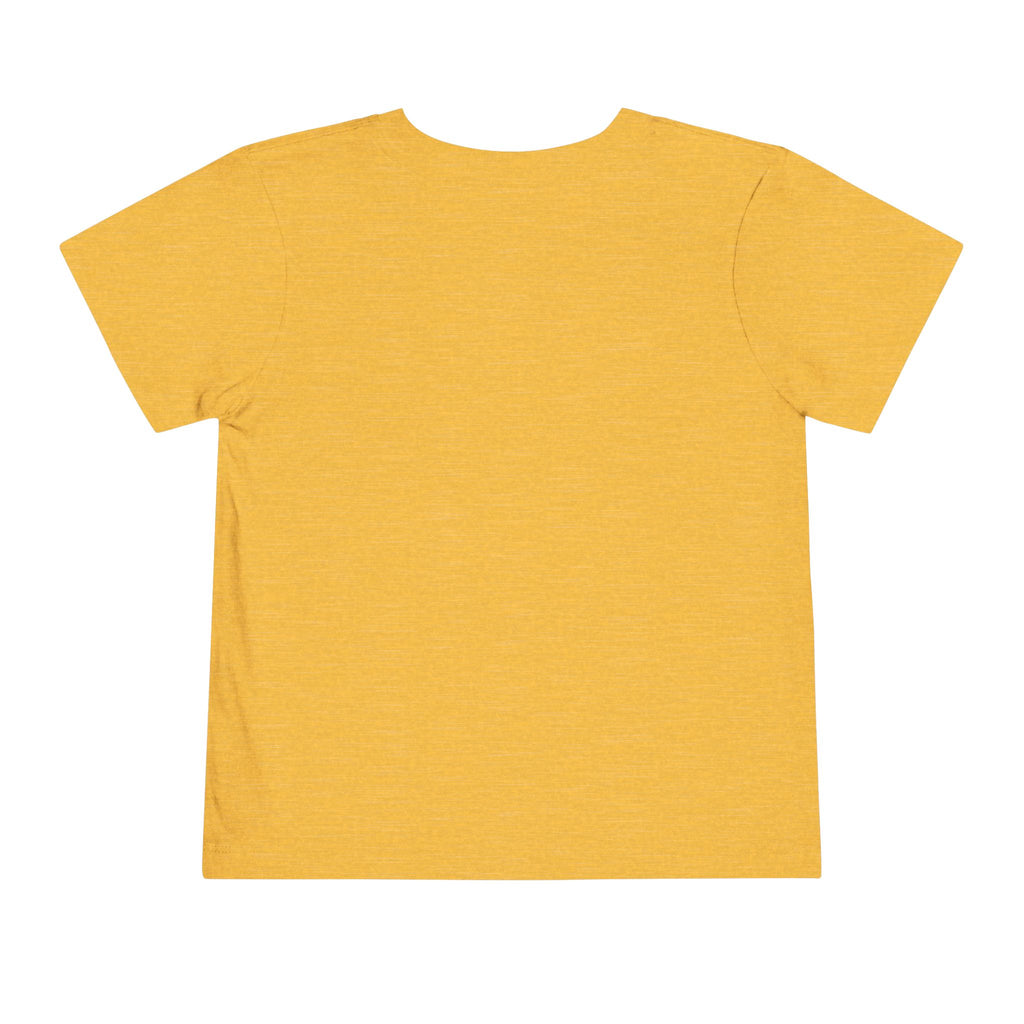 St Louis 314 All Day Toddler Tee - 314 Originals