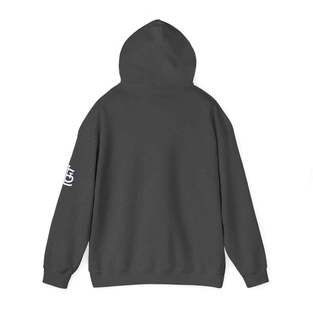 City Skyline Hoodie — Black & White Waterfront Panorama Pullover Printify Hoodie  314 Originals