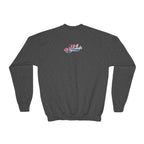 Baby Girl Youth Sweatshirt — Pink & Blue Script Crewneck - 314 Originals