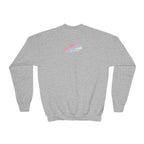 Baby Girl Youth Sweatshirt — Pink & Blue Script Crewneck - 314 Originals
