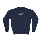Baby Girl Youth Sweatshirt — Pink & Blue Script Crewneck - 314 Originals
