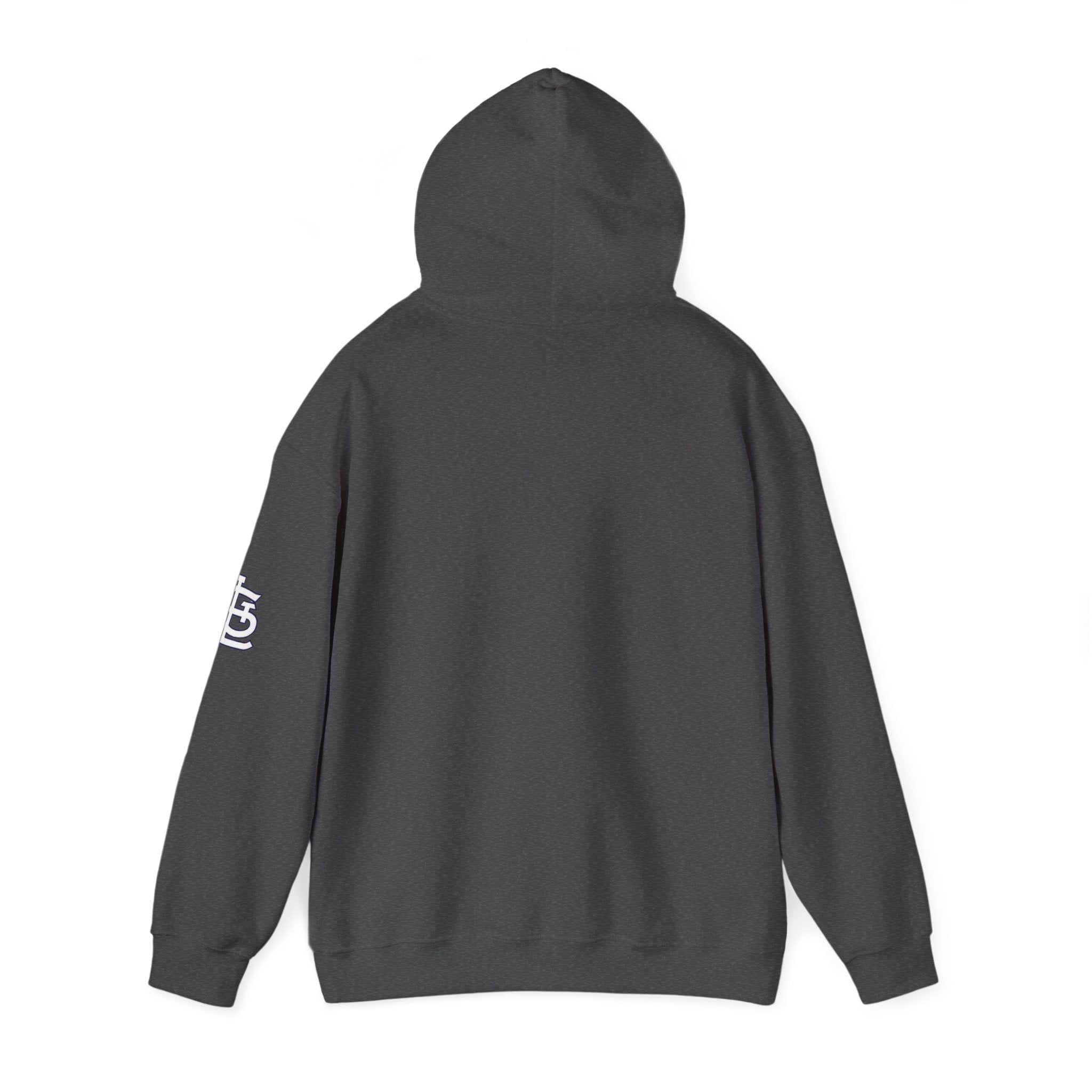 City Skyline Hoodie — Black & White Waterfront Panorama Pullover - 314 Originals