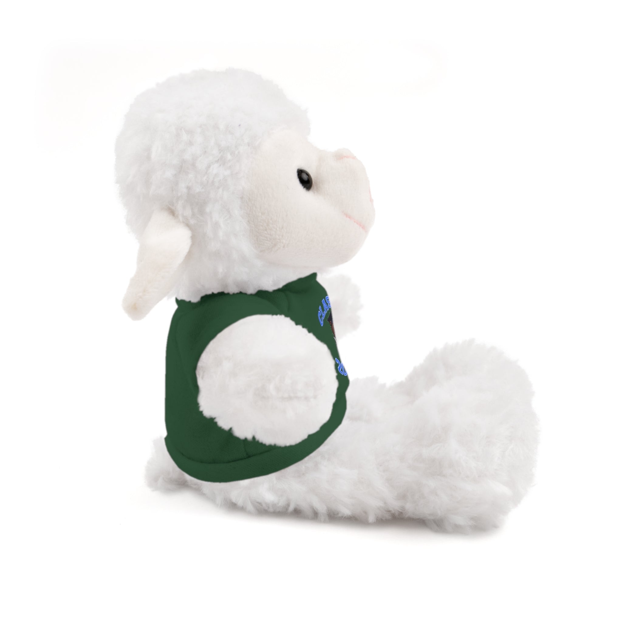 Class of 2026 Graduation Plush with Tee - 314 Originals