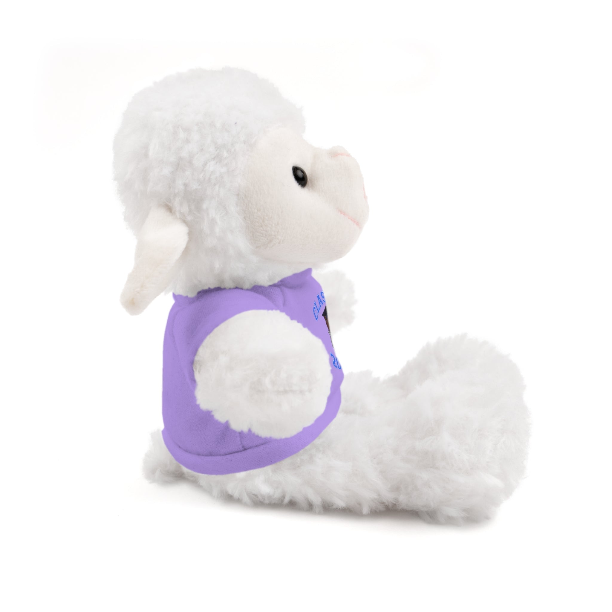 Class of 2026 Graduation Plush with Tee - 314 Originals