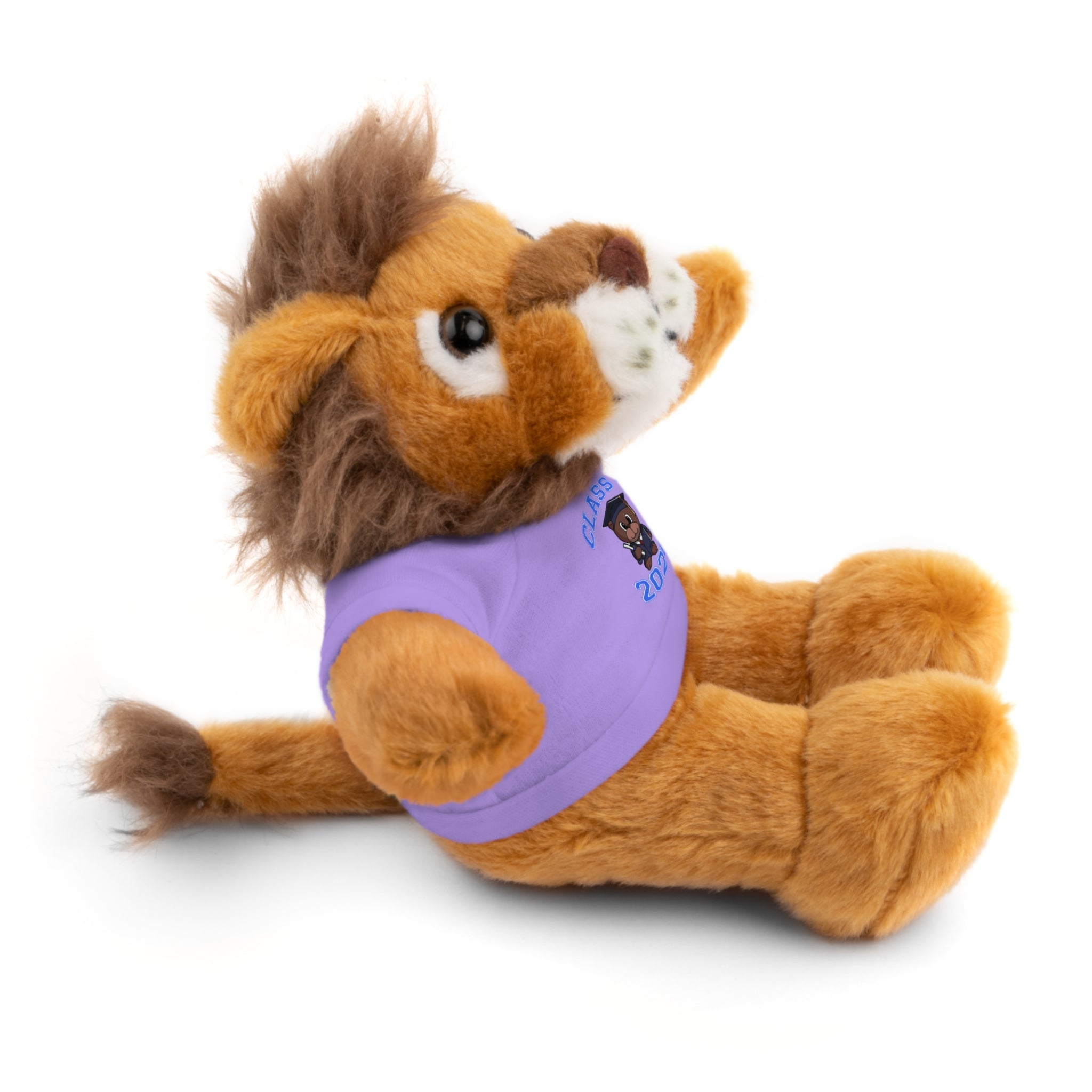Class of 2026 Graduation Plush with Tee - 314 Originals