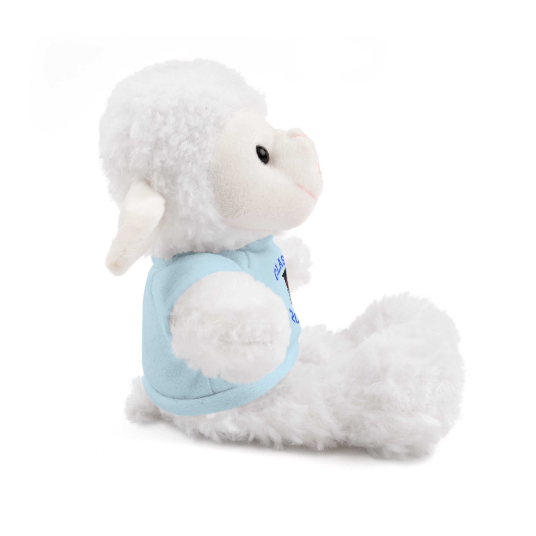 Class of 2026 Graduation Plush with Tee - 314 Originals