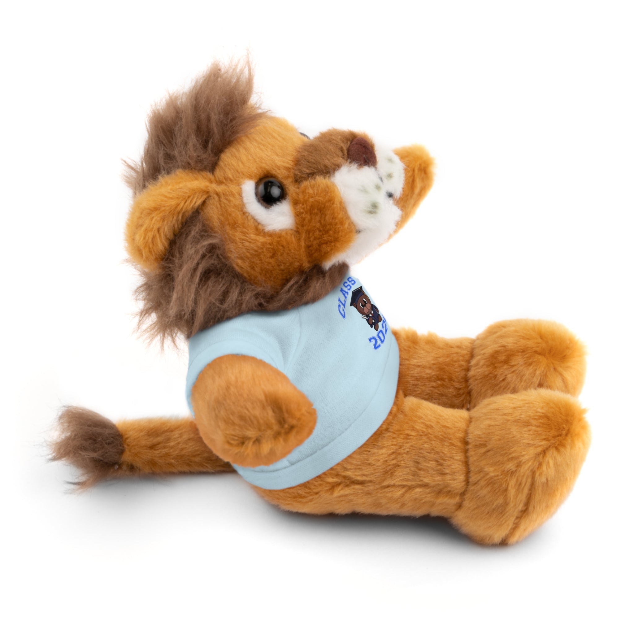 Class of 2026 Graduation Plush with Tee - 314 Originals