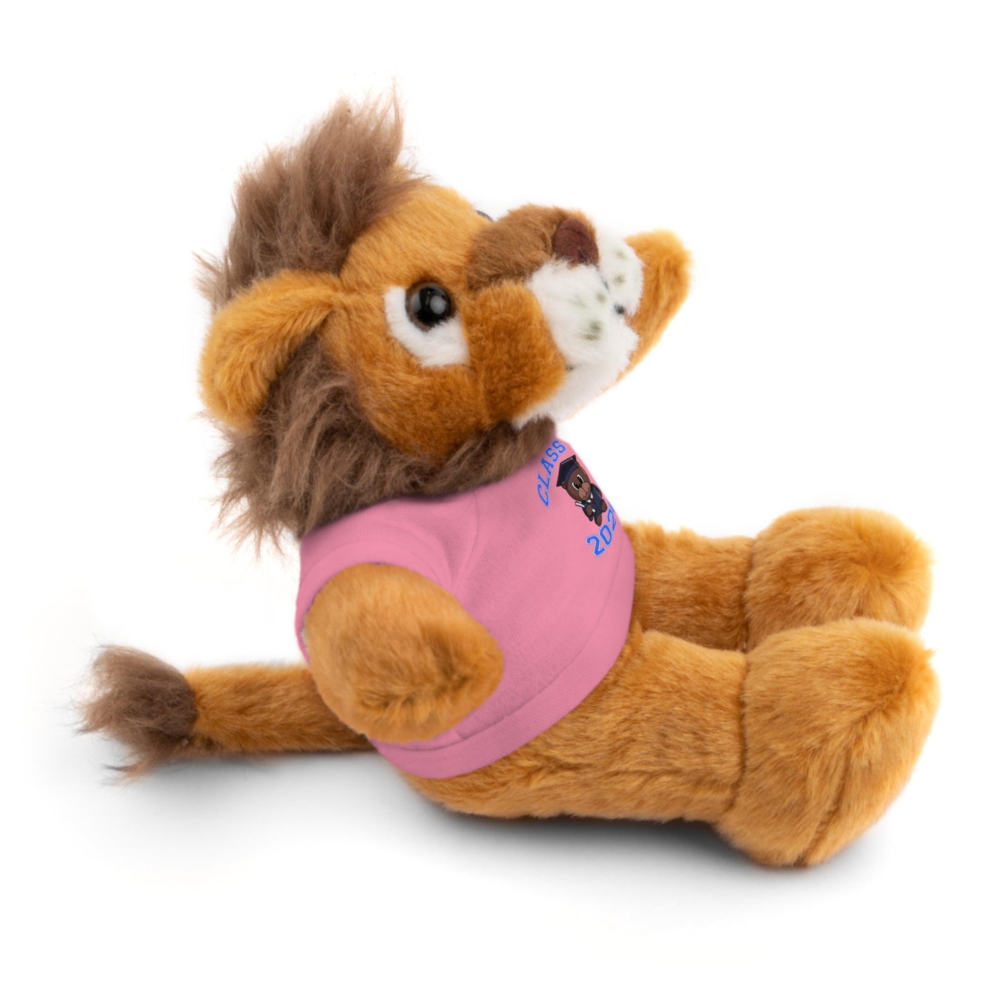 Class of 2026 Graduation Plush with Tee - 314 Originals
