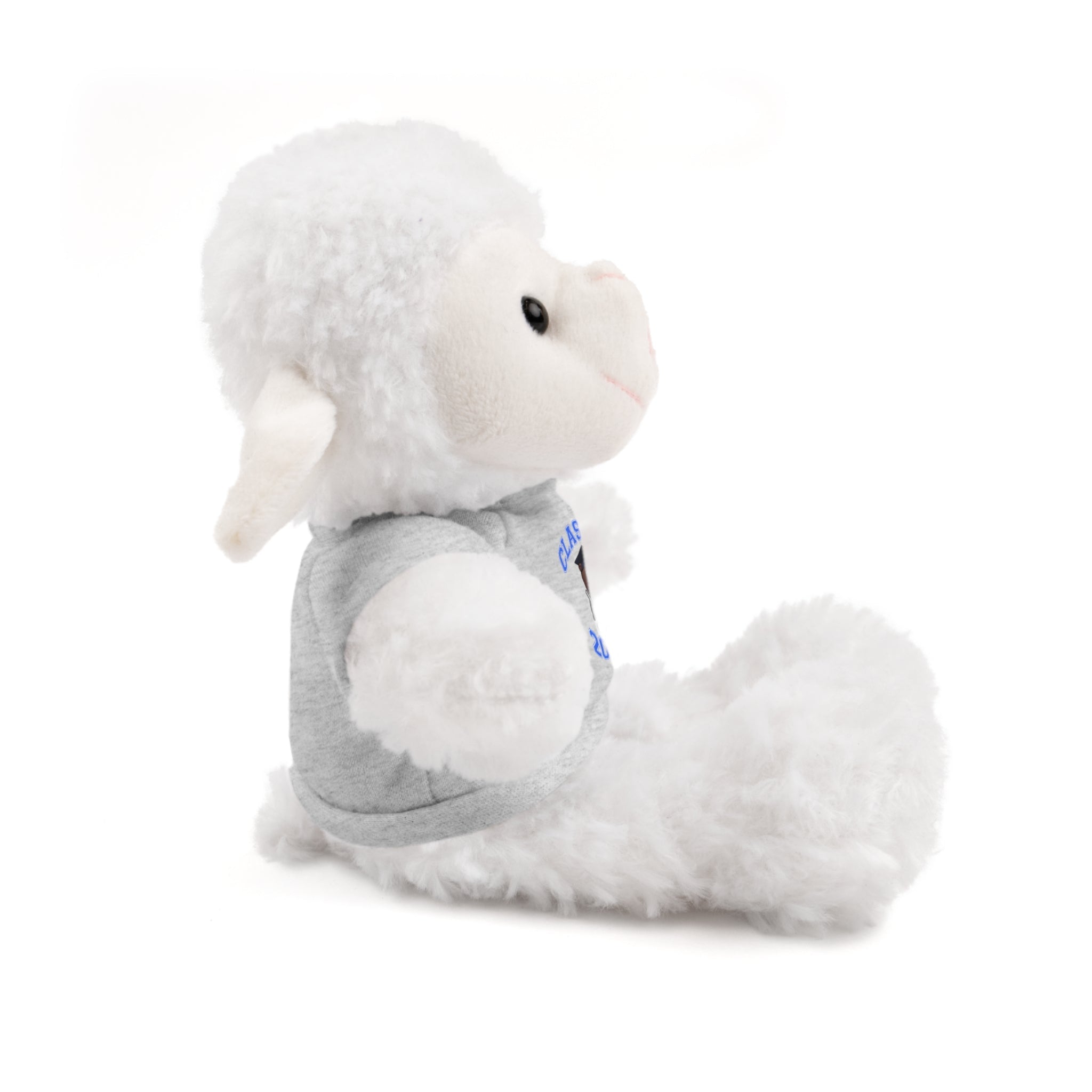 Class of 2026 Graduation Plush with Tee - 314 Originals