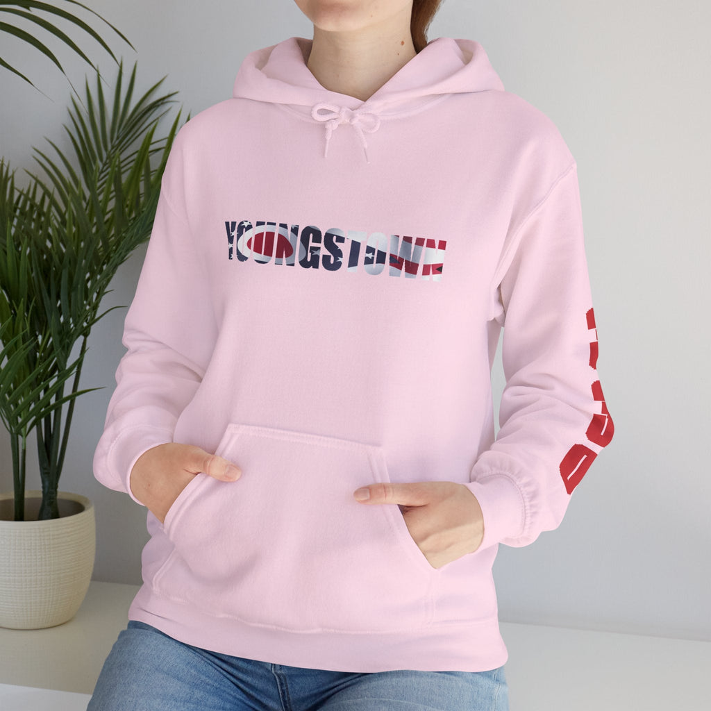 Ohio Flag Hoodie — State Outline - 314 Originals