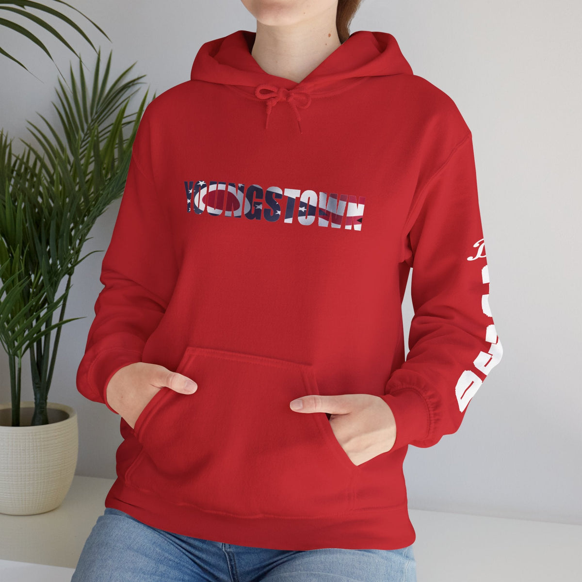 Ohio Flag Hoodie — State Outline - 314 Originals