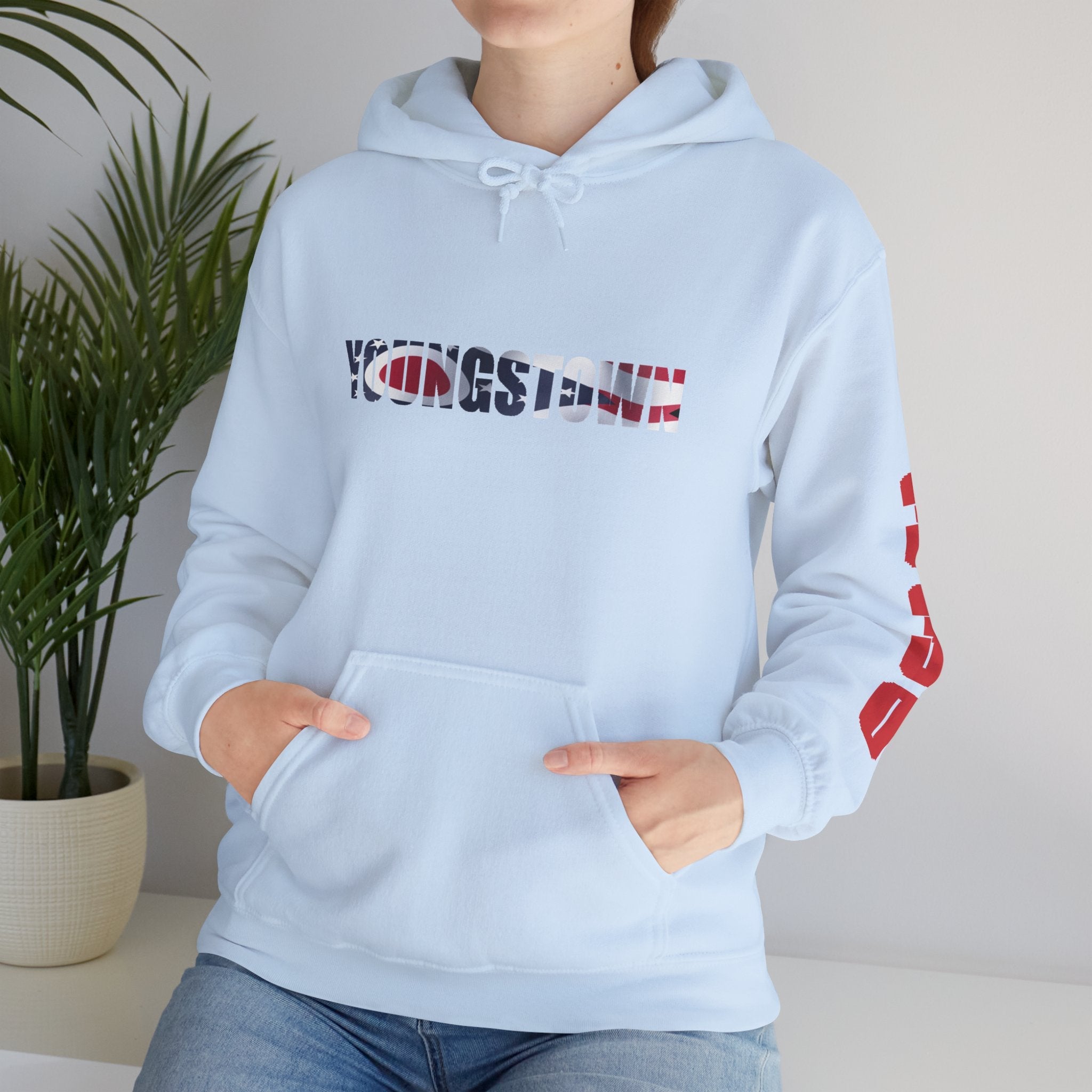 Ohio Flag Hoodie — State Outline - 314 Originals