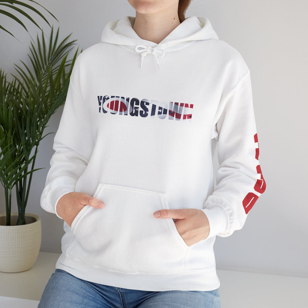 Ohio Flag Hoodie — State Outline - 314 Originals