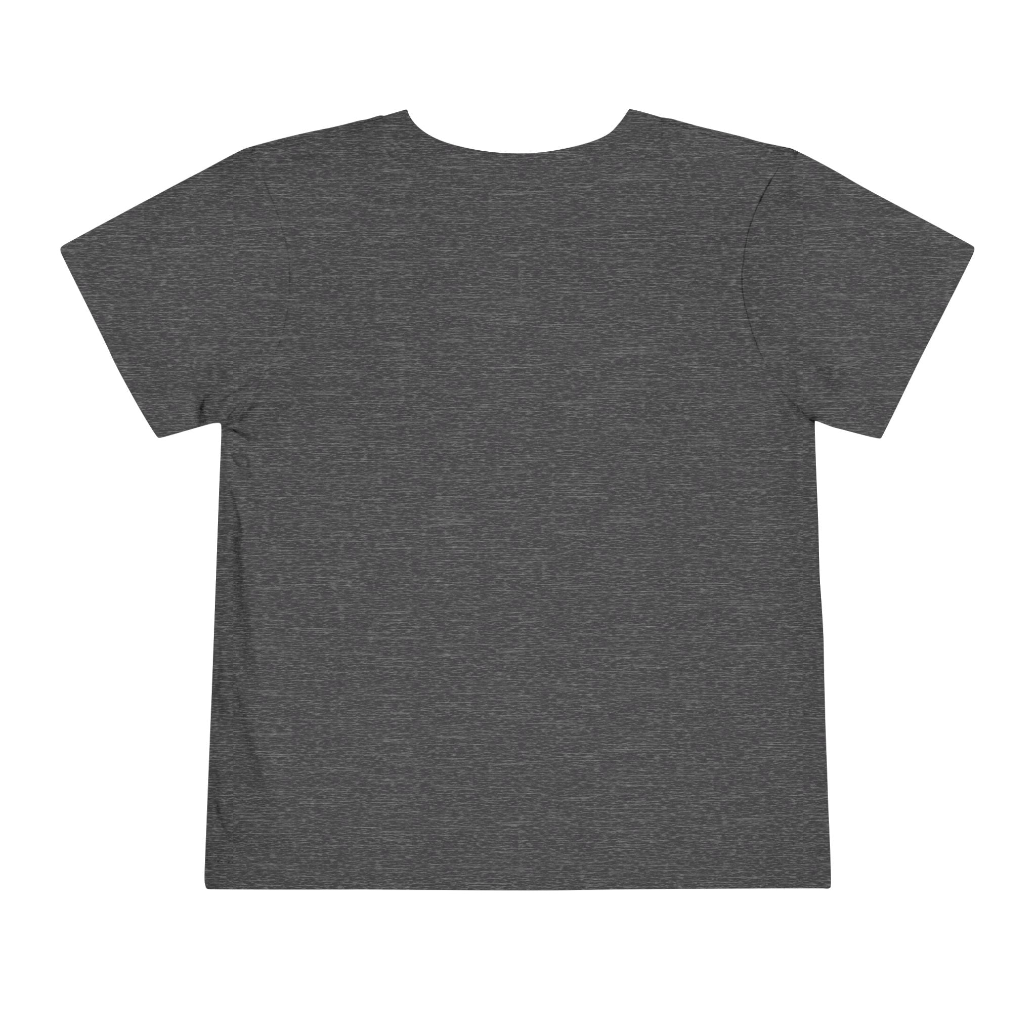St Louis 314 All Day Toddler Tee - 314 Originals