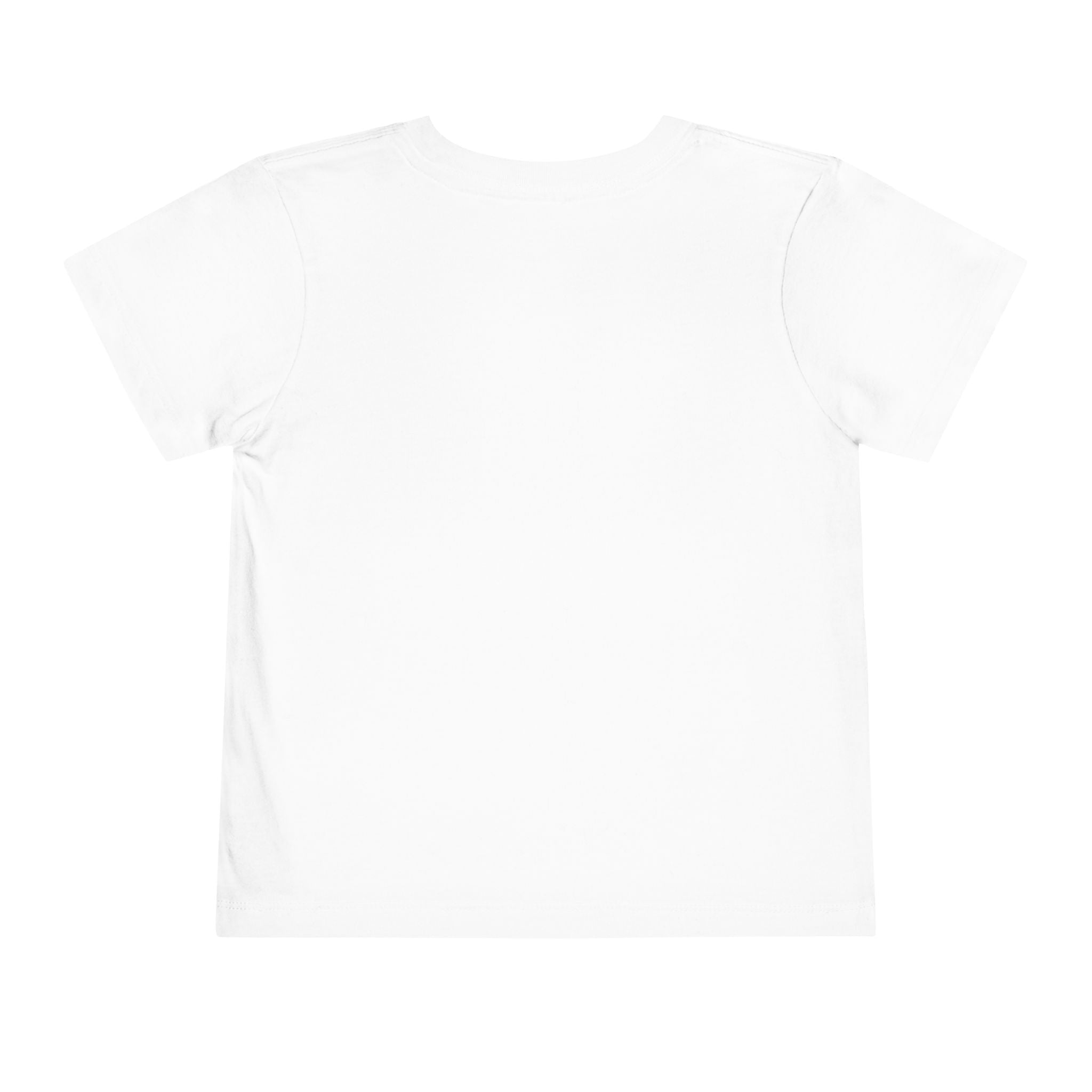 St Louis 314 All Day Toddler Tee - 314 Originals