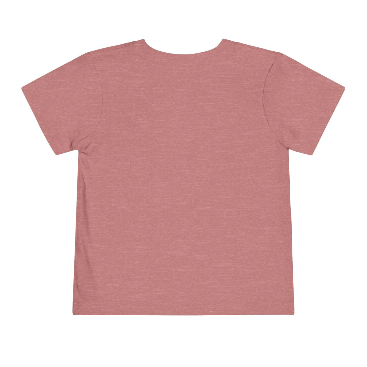 St Louis 314 All Day Toddler Tee - 314 Originals