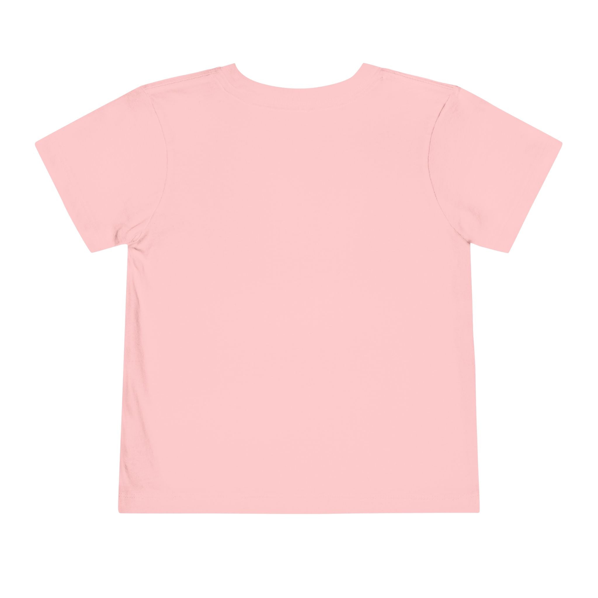 St Louis 314 All Day Toddler Tee - 314 Originals
