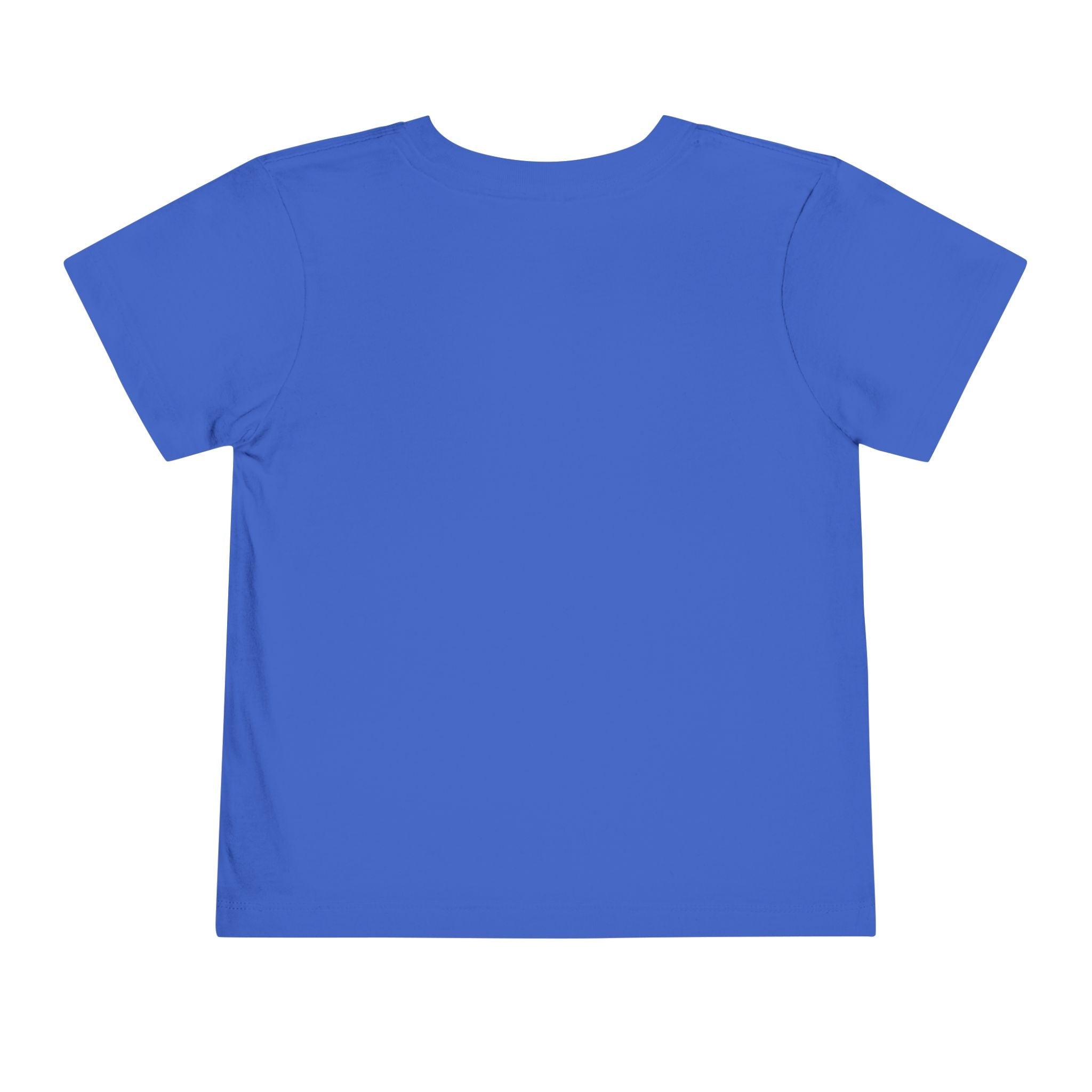 St Louis 314 All Day Toddler Tee - 314 Originals