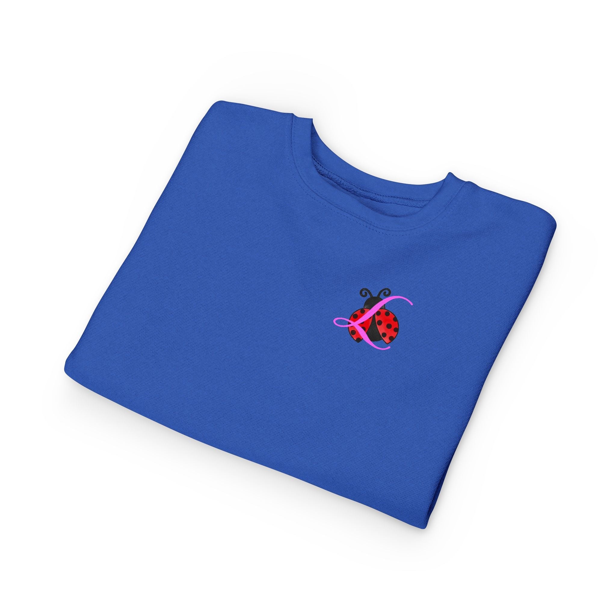 Toddler Sweatshirt — Cute Ladybug Graphic Crewneck for Kids - 314 Originals