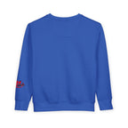 Toddler Sweatshirt — Cute Ladybug Graphic Crewneck for Kids - 314 Originals